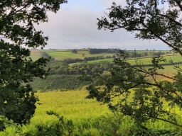 Hill Head CAMC